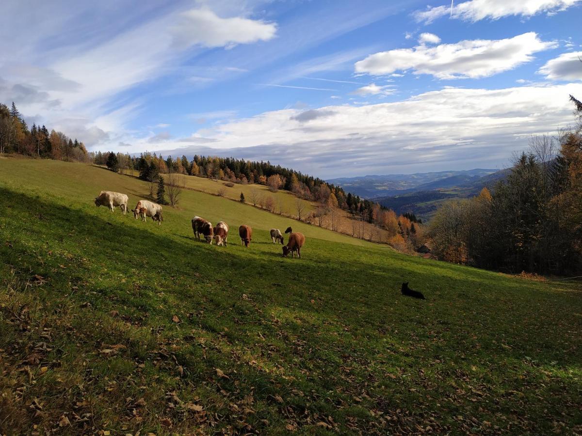 Almbauer Morgenbesser Trattenbach  Esterno foto