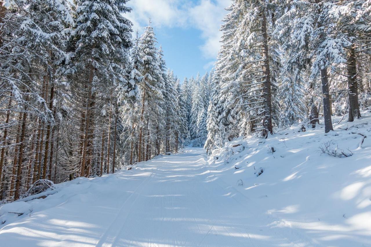 Almbauer Morgenbesser Trattenbach  Esterno foto