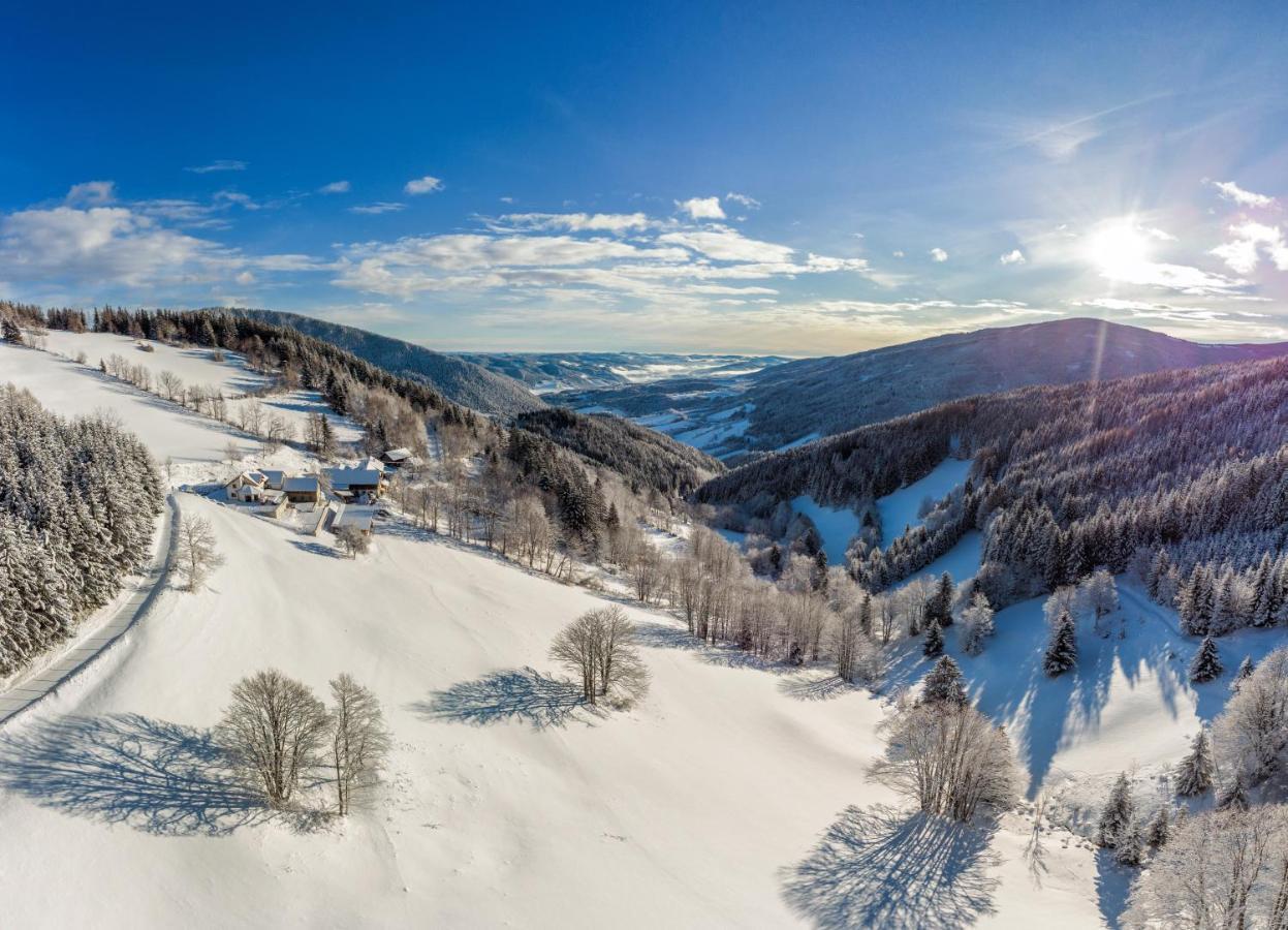 Almbauer Morgenbesser Trattenbach  Esterno foto